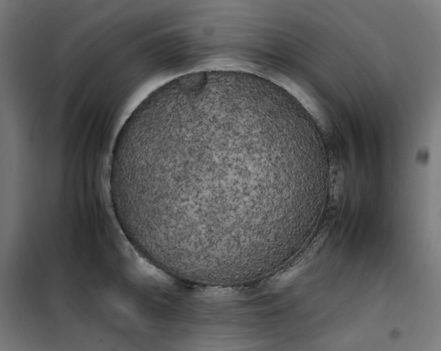 X0000100491094200806201647