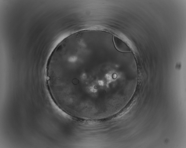X0000100491095200806201647