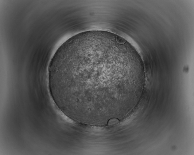 X0000100491096200806201647