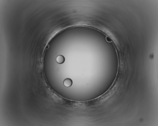 X0000100491097200806201647