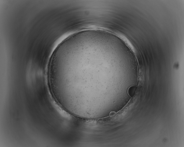 X0000100491098200806201647