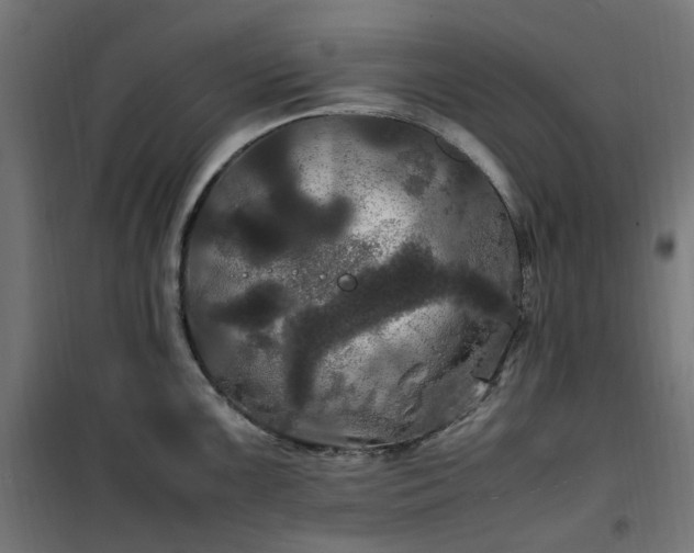 X0000100491099200806201647