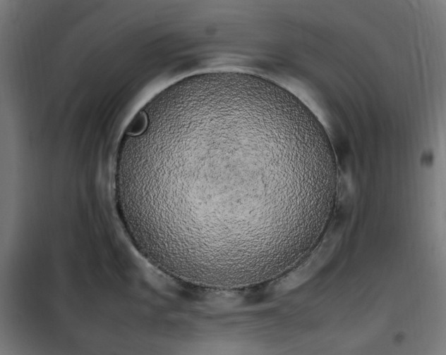 X0000100491101200806201647