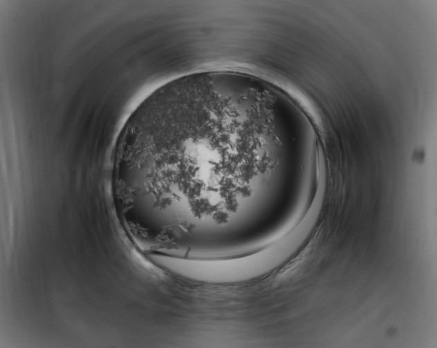 X0000100491102200806201647