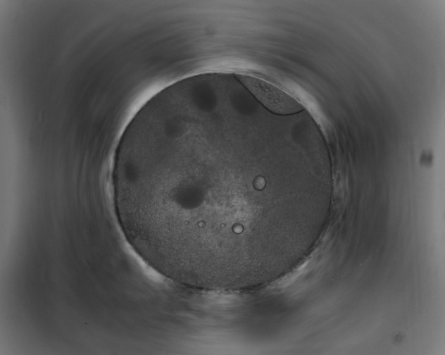 X0000100491103200806201647