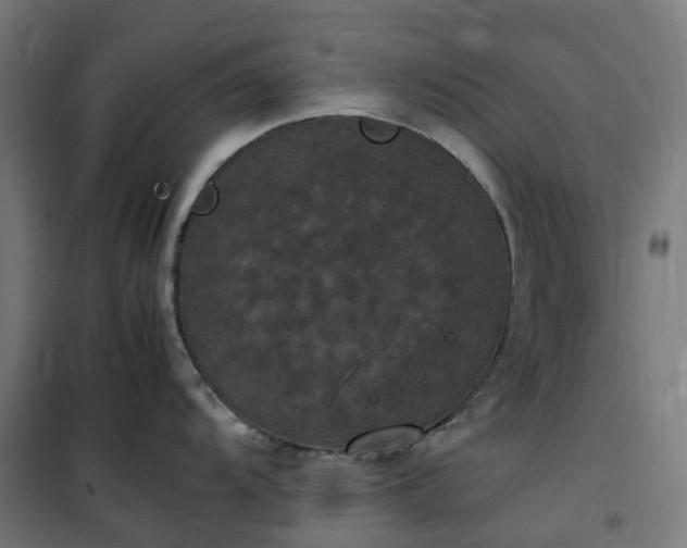 X0000100491104200806201647