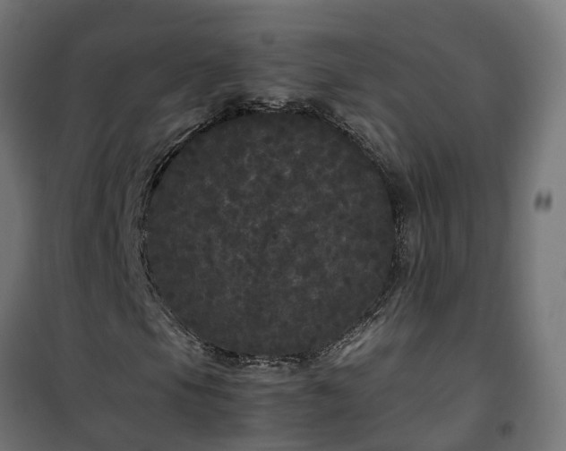 X0000100491105200806201646