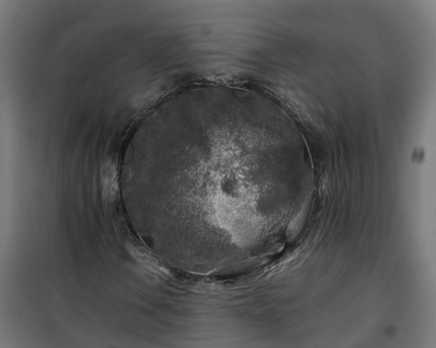 X0000100491106200806201646