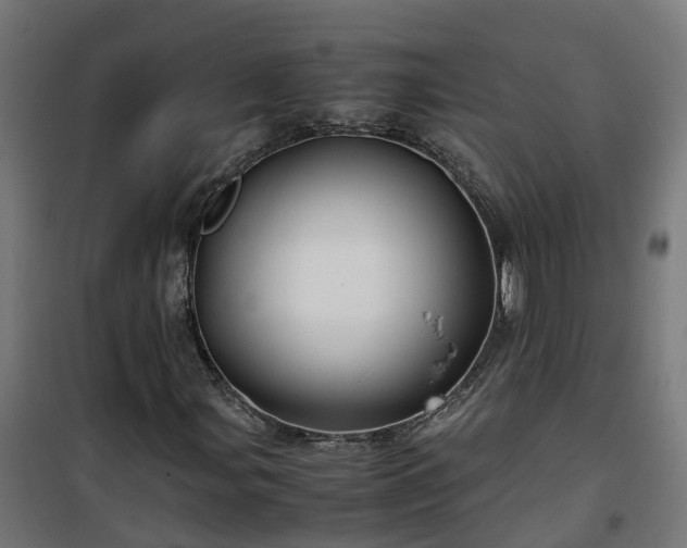X0000100491107200806201646