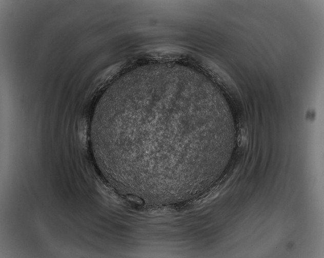 X0000100491108200806201646