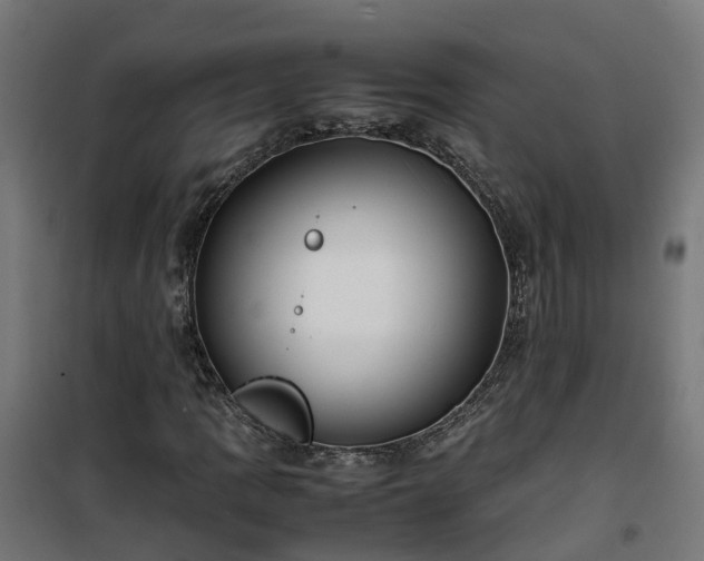 X0000100491109200806201646