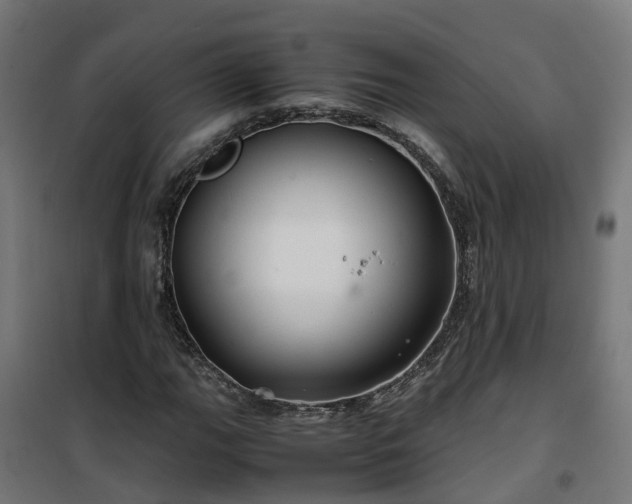 X0000100491111200806201646