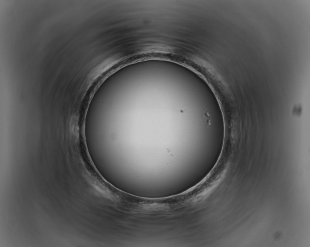 X0000100491113200806201646