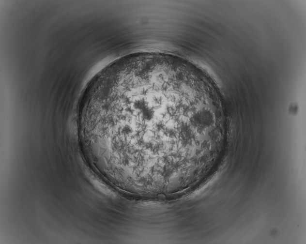 X0000100491114200806201646