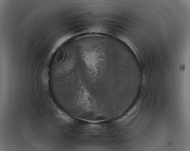 X0000100491115200806201646