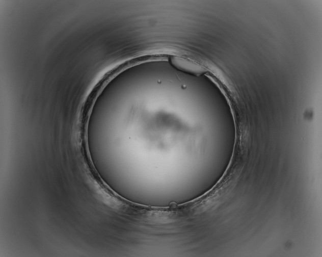 X0000100491116200806201646