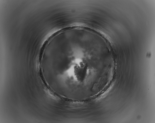X0000100491117200806201646