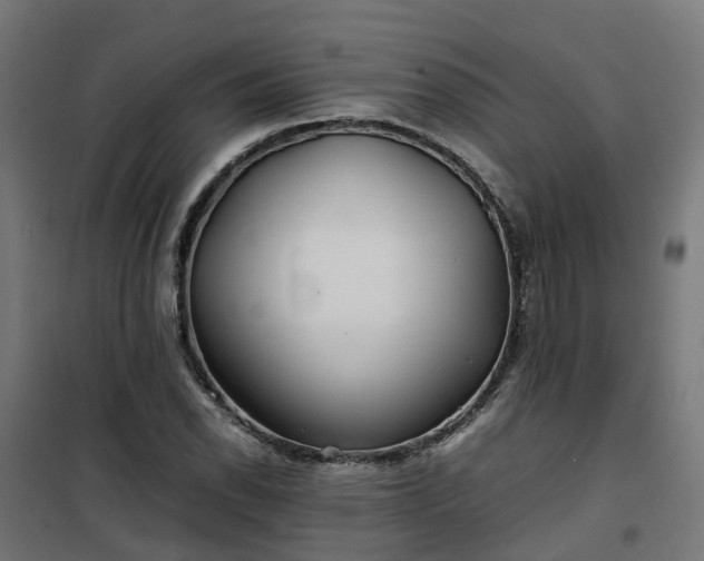 X0000100491118200806201646
