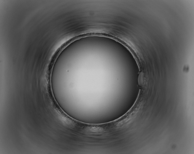 X0000100491119200806201646