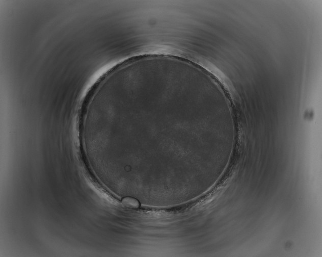 X0000100491120200806201646