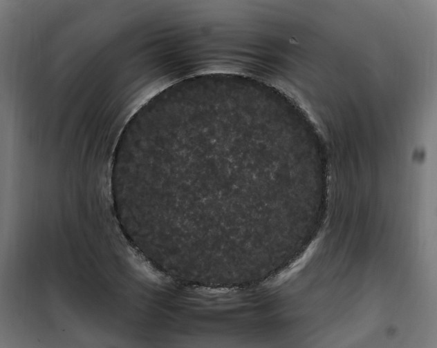X0000100491121200806201646