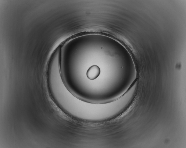X0000100491122200806201646