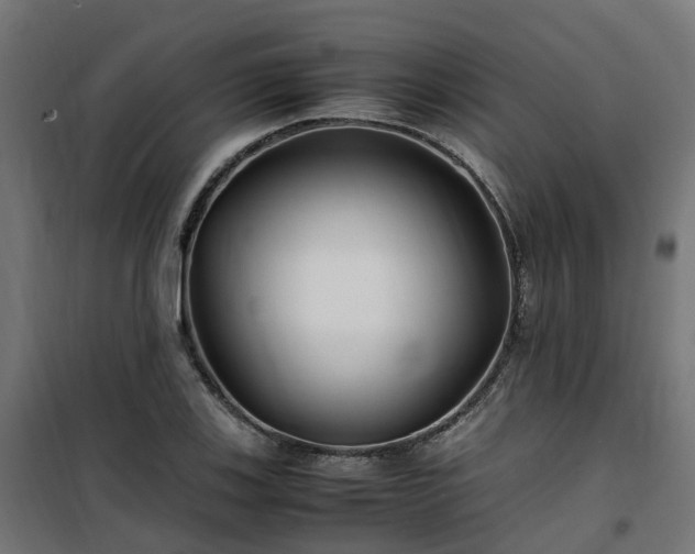 X0000100491123200806201646