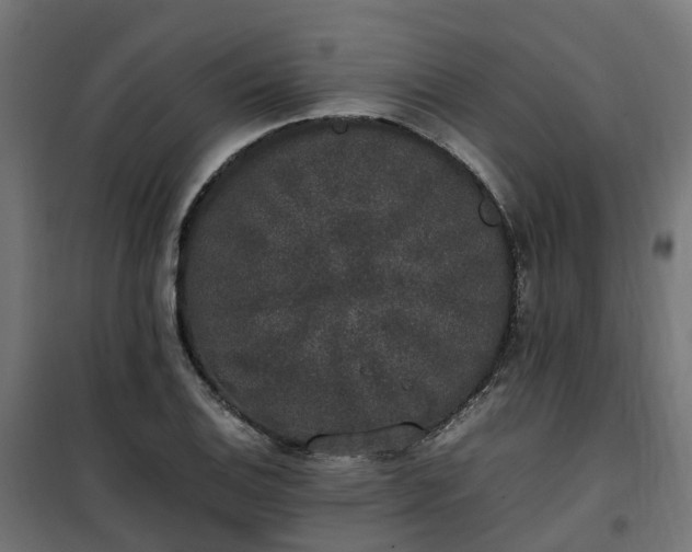 X0000100491124200806201646