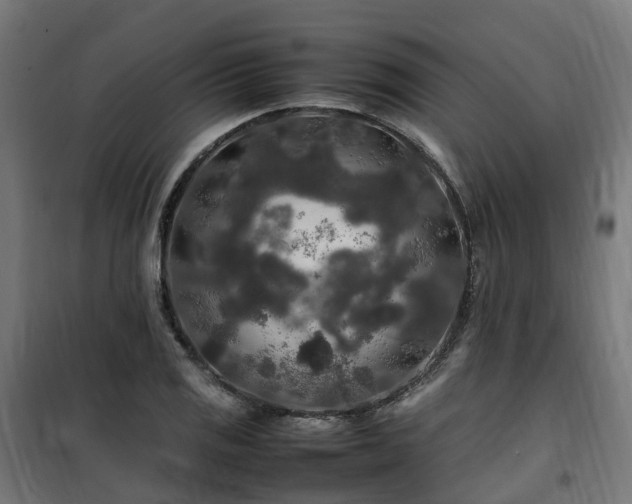 X0000100491125200806201646