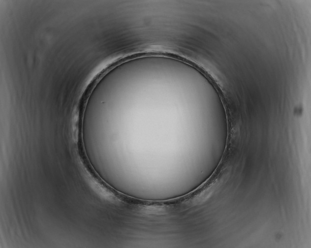 X0000100491126200806201646