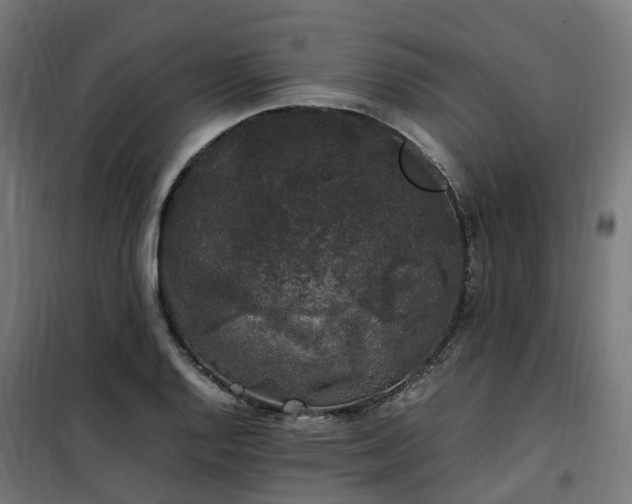 X0000100491128200806201647