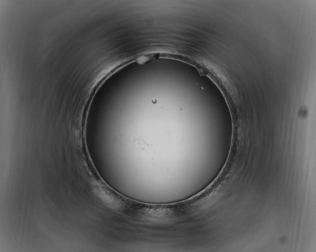 X0000100491129200806201647