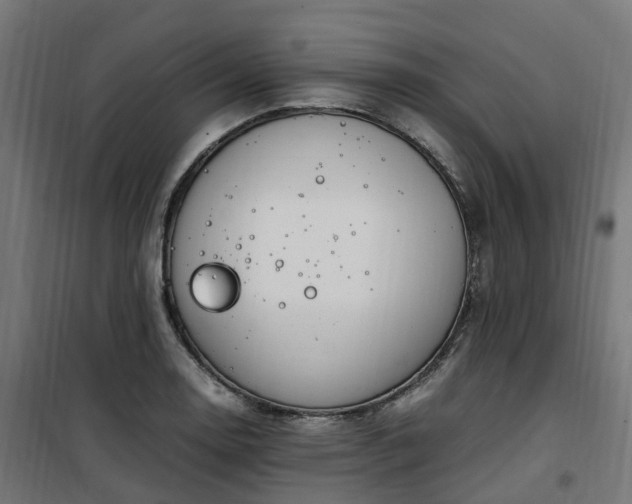 X0000100491130200806201647