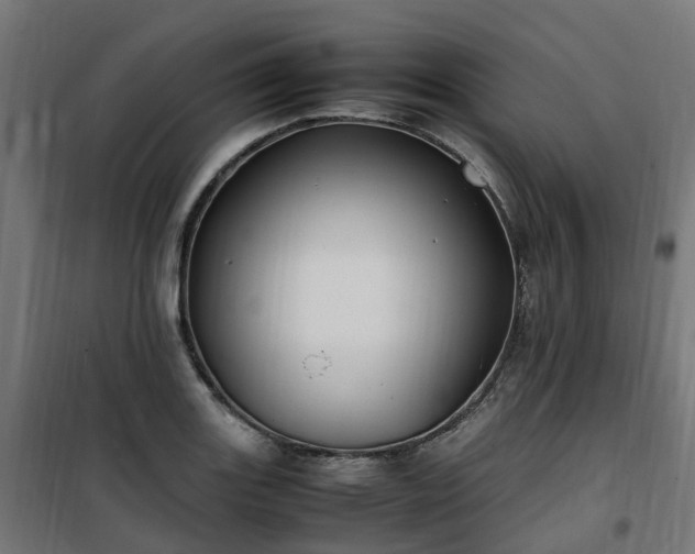 X0000100491131200806201647
