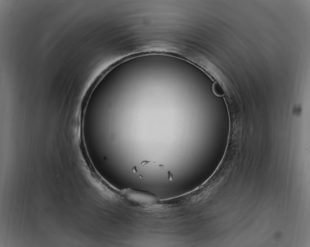X0000100491132200806201647
