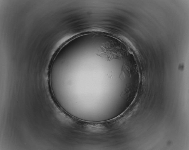 X0000100491133200806201647