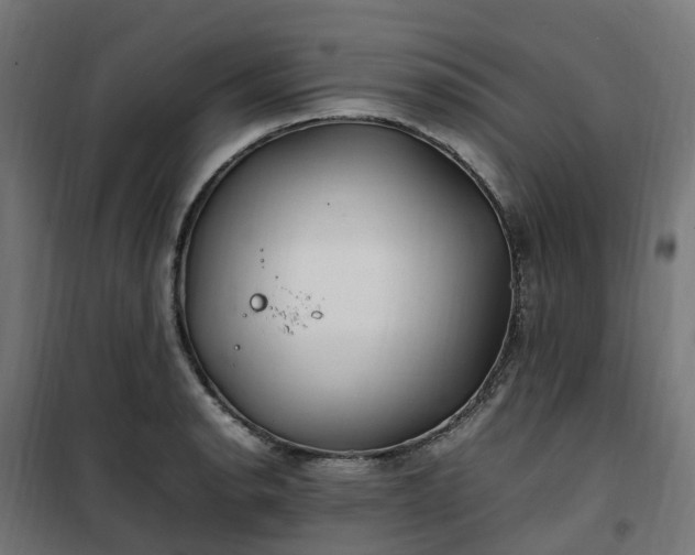 X0000100491134200806201647