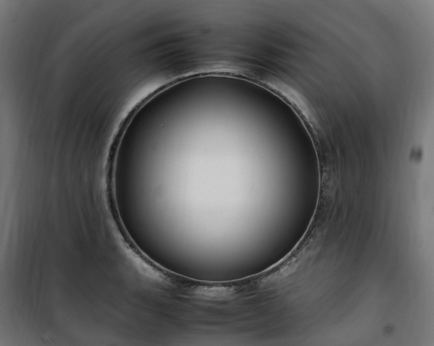 X0000100491135200806201647