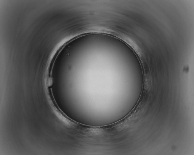 X0000100491136200806201647