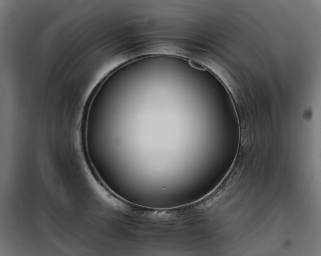 X0000100491139200806201647