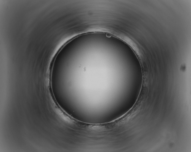 X0000100491140200806201647