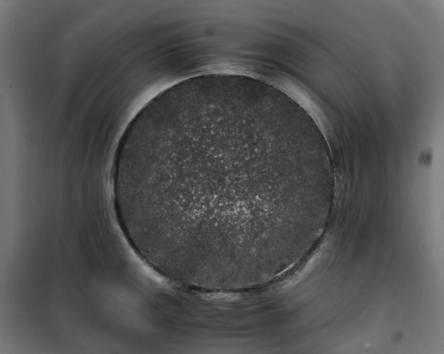 X0000100491141200806201647