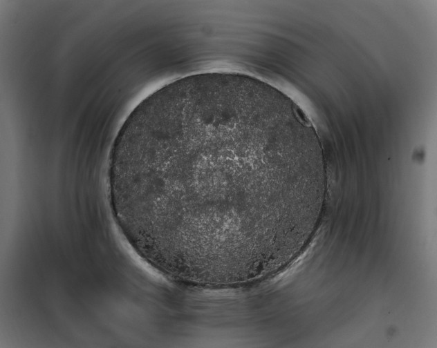 X0000100491142200806201647