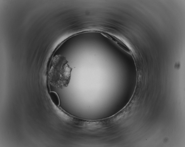 X0000100491143200806201647