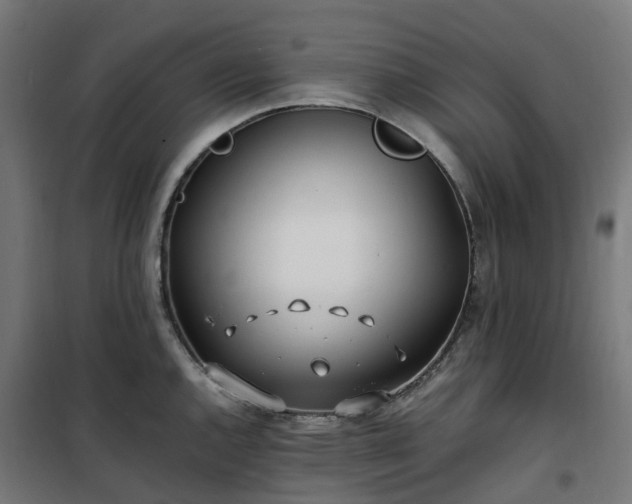 X0000100491144200806201647