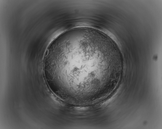 X0000100491145200806201647