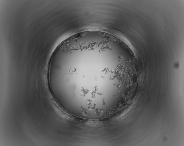 X0000100491146200806201647