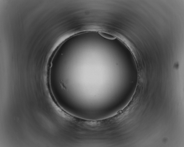 X0000100491147200806201647