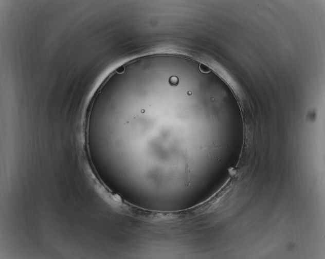 X0000100491148200806201647