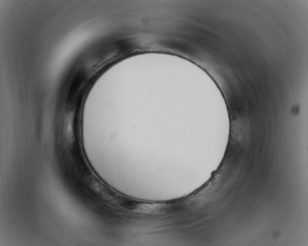 X0000100491150200806201647
